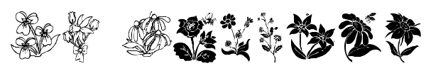 DT Flowers font preview